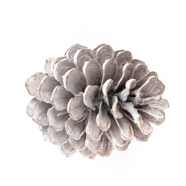 Beyaz bir arka planda Noel dekoru yakın plan. İzole edilmiş - Resim