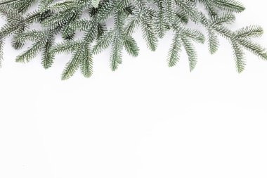 Beyaz zemin üzerinde köknar ağacı dalları Noel kompozisyonu.