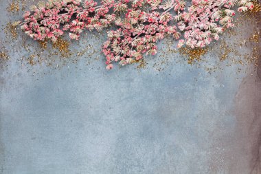 Noel kompozisyonu köknar ağacı dalları, mavi arka planda altın göğüs..