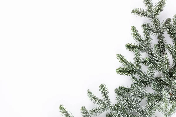 白色背景的圣诞树分枝 — 图库照片