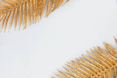  Mavi arka planda altın palmiye yaprağı. Palmiye yaprağı, düz ve üst görünüm.