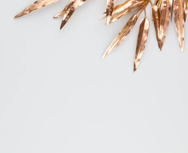  Mavi arka planda altın palmiye yaprağı. Palmiye yaprağı, düz ve üst görünüm.