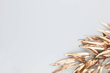  Mavi arka planda altın palmiye yaprağı. Palmiye yaprağı, düz ve üst görünüm.