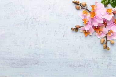 Spa aromaterapi arka planı, basit orkide çiçekleriyle süslenmiş çeşitli güzellik ürünleri..