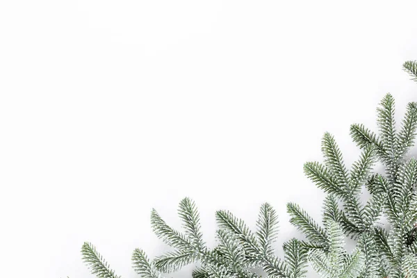 Weihnachten Komposition Tannenzweige Auf Weißem Hintergrund — Stockfoto