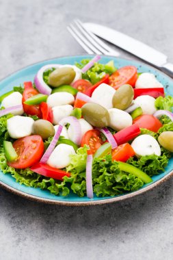 Taze sebze salatası. Caprese. Caprese salatası. İtalyan salatası. Akdeniz salatası. İtalyan mutfağı.