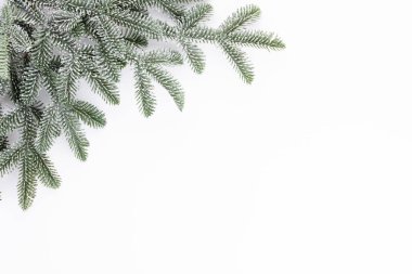 Beyaz zemin üzerinde köknar ağacı dalları Noel kompozisyonu.