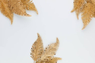  Mavi arka planda altın palmiye yaprağı. Palmiye yaprağı, düz ve üst görünüm.