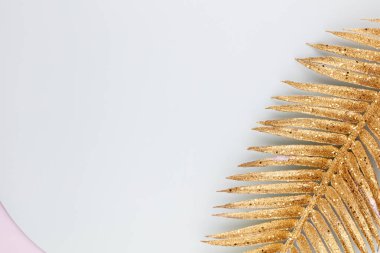  Mavi arka planda altın palmiye yaprağı. Palmiye yaprağı, düz ve üst görünüm.