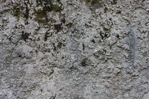 A superfície da laje de concreto velho coberto com musgo — Fotografia de Stock