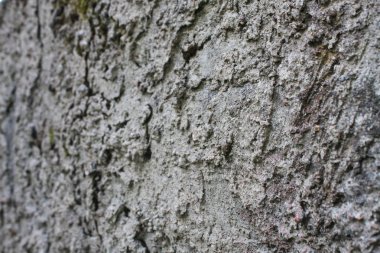 Gri desenli beton duvar