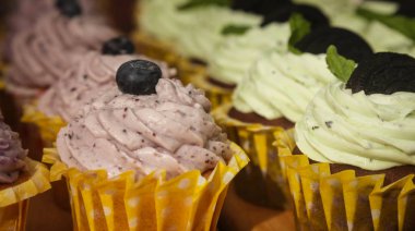 meyve yoğurt ve yaban mersini ile kek