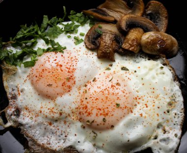 Otlar ve mantar ile kızarmış yumurta. Üstten görünüm