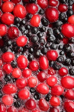 Yaban mersini ve taze morse kızılcık görünümü top. Yakın çekim