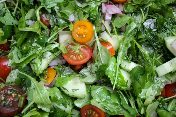 Frischer Salat mit Tomaten, Rucola und Gurken — Stockfoto