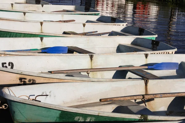 Gölde kürek çeken balıkçı teknesi. Güneş ışığı..