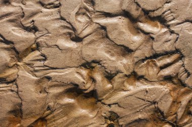 Sahildeki ıslak kumun gerçek görüntüsü, dalganın dokusuyla..
