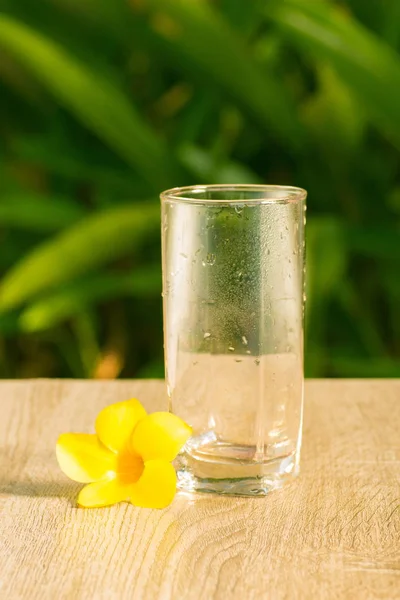 glass with  drink stand on a table on a green background