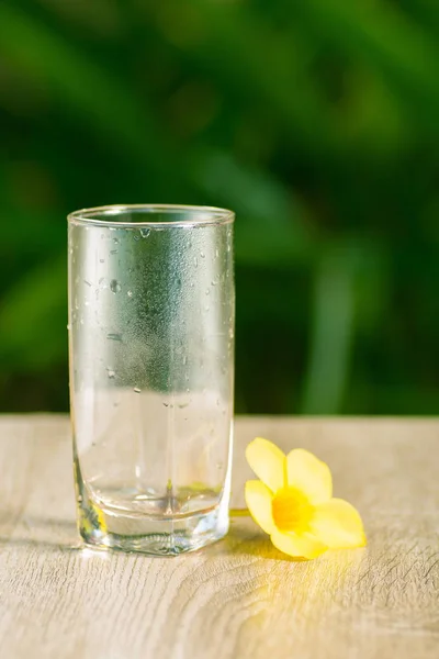 glass with  drink stand on a table on a green background