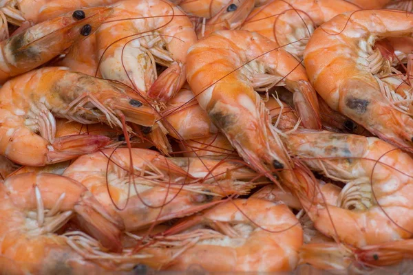 Texture background Meat Boiled Shrimps