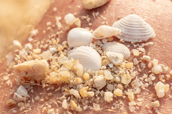 small sea shells on human skin