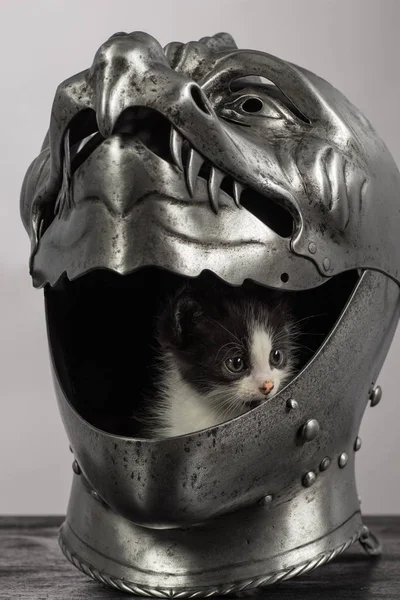 medieval knight\'s helmet Armet, in the form of a dragon\'s muzzle