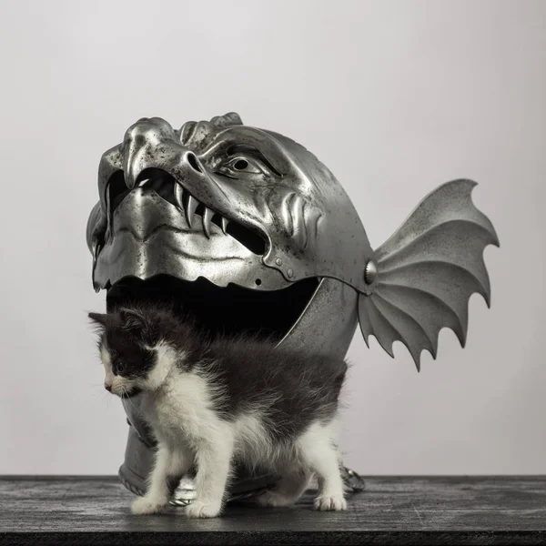 medieval knight\'s helmet Armet, in the form of a dragon\'s muzzle