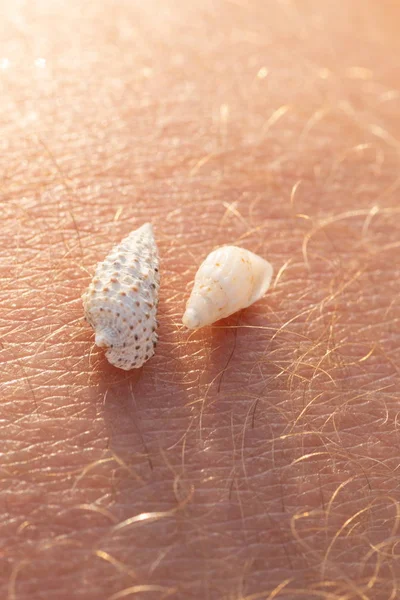 small sea shells on human skin