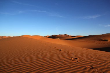 Sahara çöl dunes izlemeler