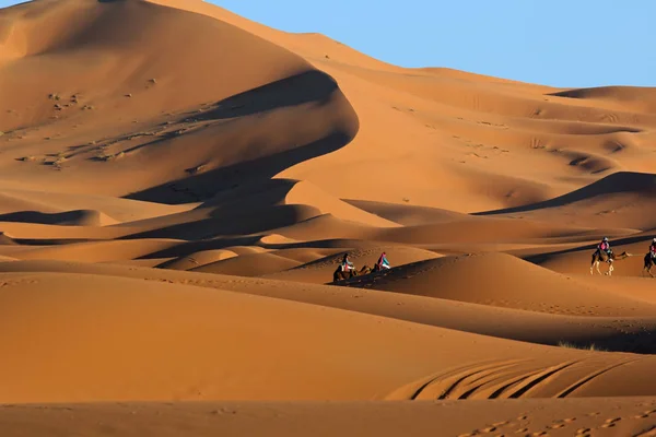 Marokkanische Sahara-Sanddünen und Schatten bei Sonnenuntergang — Stockfoto