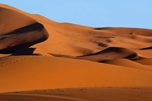 Dunas de arena del Sahara marroquí y sombras al atardecer —  Fotos de Stock