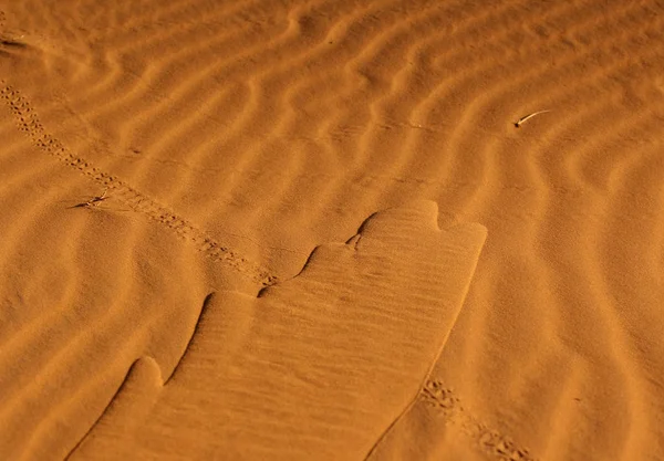 Брижі пісок дюн в Сахарі — стокове фото