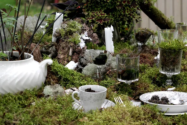 Diner feestzaal instellen met mos en planten — Stockfoto