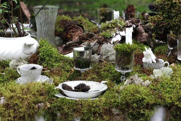 晚餐宴会设置与苔藓和植物 — 图库照片