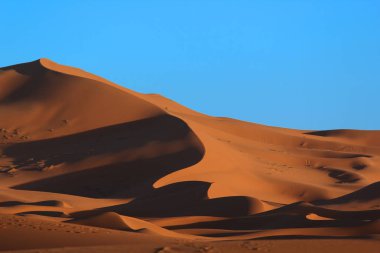 Fas Sahara kum tepeleri ve gün batımında gölgeler