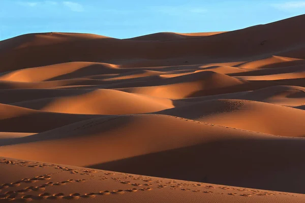 Marokański Sahara wydmy i cienie o zachodzie słońca — Zdjęcie stockowe
