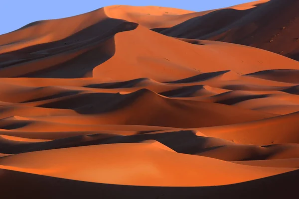 Dunas de areia marroquinas do Saara e sombras ao pôr do sol — Fotografia de Stock