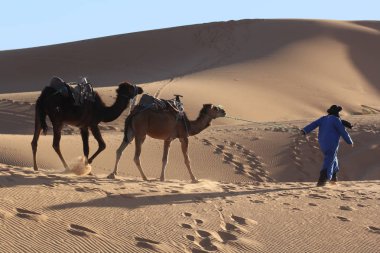 Sahara Çölü'trekking deve karavan