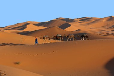 Sahara Çölü'trekking deve karavan