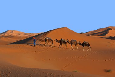 Sahara Çölü'trekking deve karavan