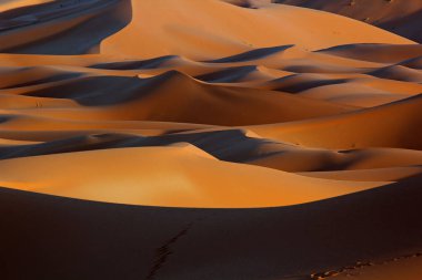Fas Sahara kum tepeleri ve gün batımında gölgeler