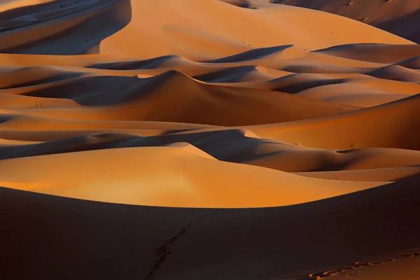 Fas Sahara kum tepeleri ve gün batımında gölgeler — Stok fotoğraf