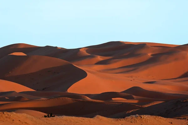 Marokkanische Sahara-Sanddünen und Schatten bei Sonnenuntergang — Stockfoto