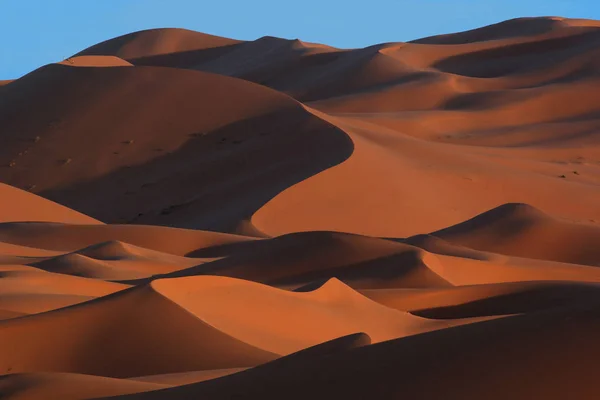 Marokkaanse Sahara duinen en schaduwen bij zonsondergang — Stockfoto