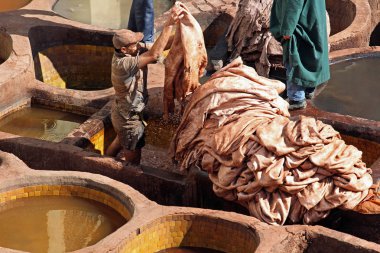 Çatı Tabakhane Fes, Fas City