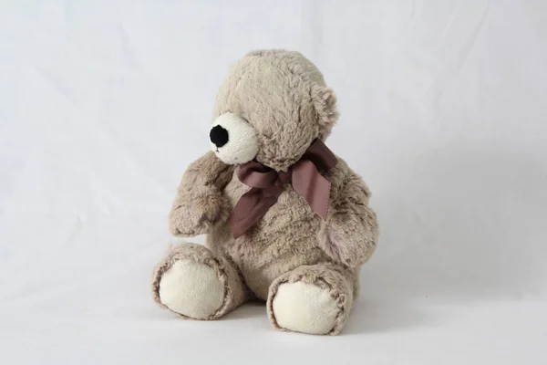 Peluche de peluche con peluche sobre un fondo blanco neutro — Foto de Stock