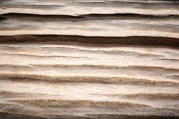 Deriva de madera en la playa con aspecto desgastado — Foto de Stock