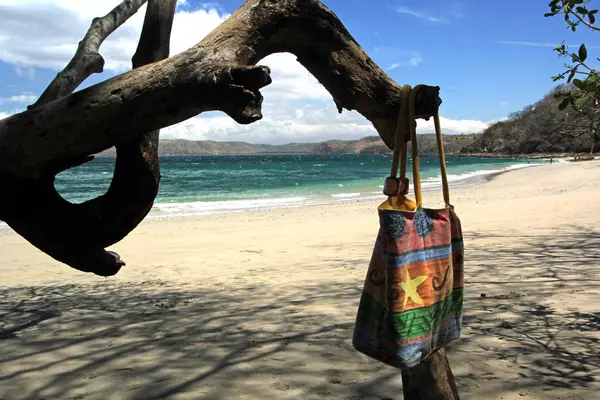 Spiaggia di sabbia bianca con strapiombo albero costiero — Foto Stock