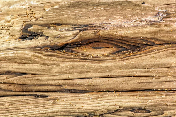 Driftwood kleuren en patronen in natuurlijke vorm Rechtenvrije Stockafbeeldingen