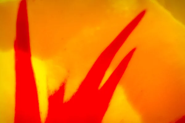 Vermelho Amarelo Flare Abstrato Pano Fundo Com Movimento Para Vários — Fotografia de Stock